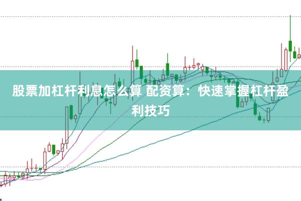 股票加杠杆利息怎么算 配资算：快速掌握杠杆盈利技巧