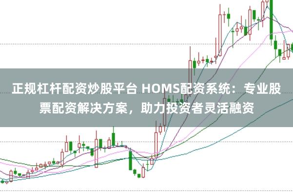 正规杠杆配资炒股平台 HOMS配资系统：专业股票配资解决方案，助力投资者灵活融资