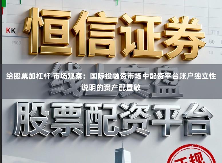 给股票加杠杆 市场观察：国际投融资市场中配资平台账户独立性说明的资产配置敏